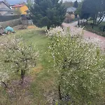 Rabbit House Homestay Lehnin
