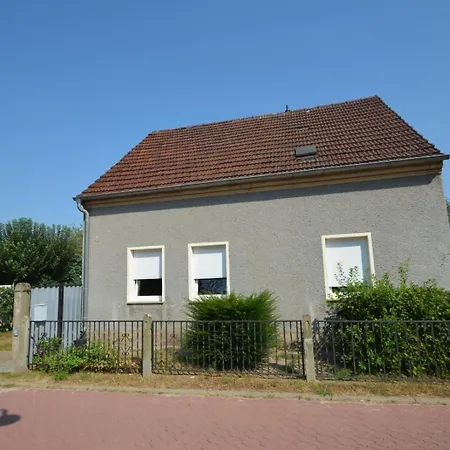 Rabbit House *