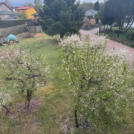 Rabbit House Ubytování v soukromí Lehnin