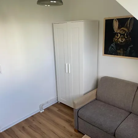 Rabbit House Homestay